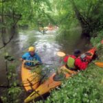 Sortie sur le Rhin Tortu