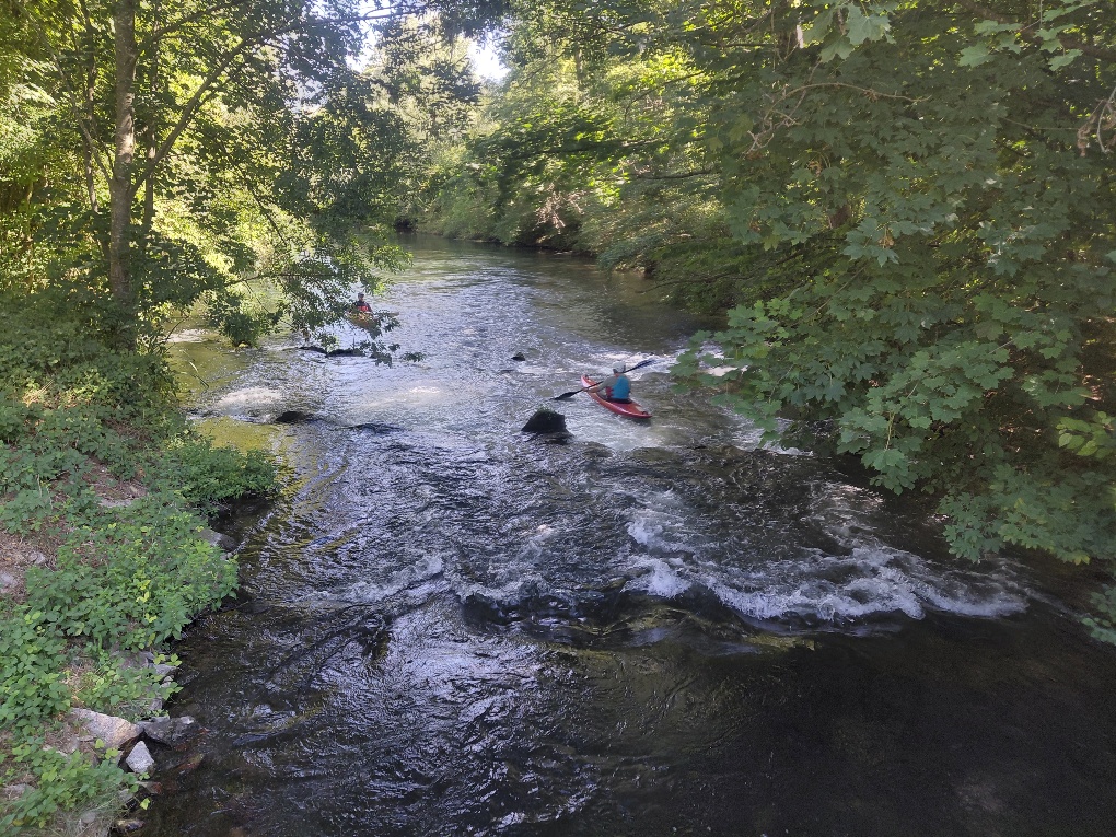 You are currently viewing Sortie sur l&rsquo;Ottenheimer Mühlbach