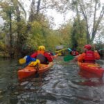 17 octobre : Rhin Tortu
